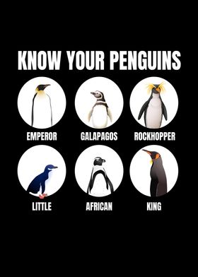 Know Your Penguins Penguin