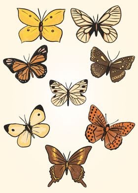 Butterfly Collection