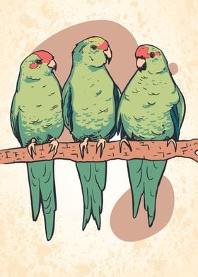 Three Budgies On A Stick