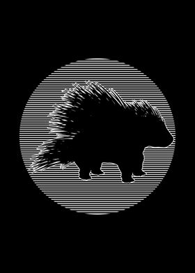 Porcupine