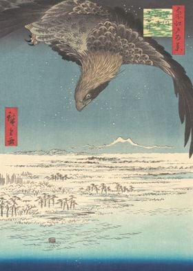 Eagle Over Fukagawa Susaki