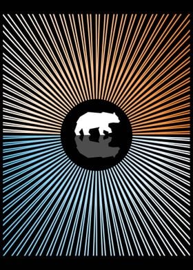 The Bear Sunset Geometry 