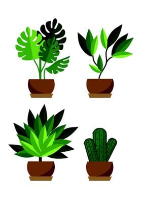 Just a Plants