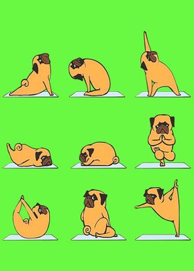 09 Pug yoga 09