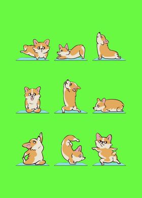 06 Corgi yoga 06