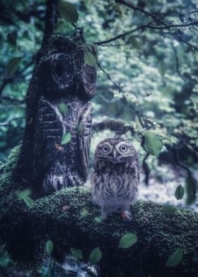 Baby Owl and Wood Totem