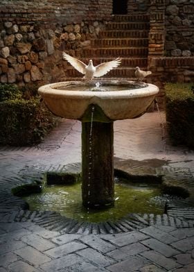 Fountain in the Alcazaba 