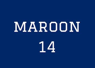 Pat Maroon 14