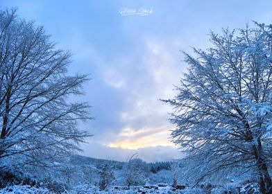 beautiful sunset in snow 