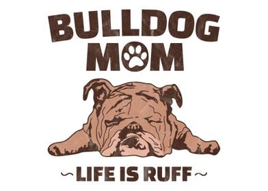 English Bulldog Mom Life