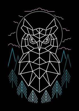 The Owl Geometry 