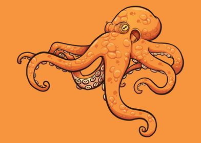 Octopus