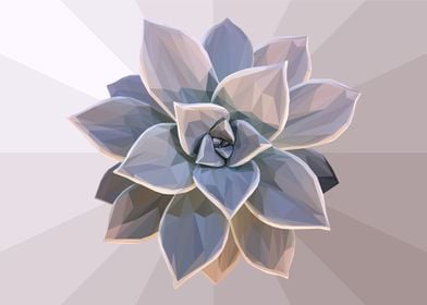 Low Poly Grey Succulent