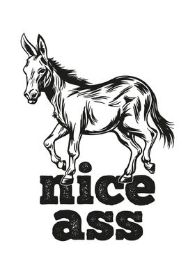 Nice Ass Funny Donkey