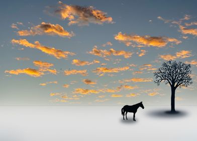 The horse and the tree