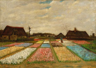 Bulb Fields 1883