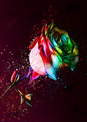 Colored Rose