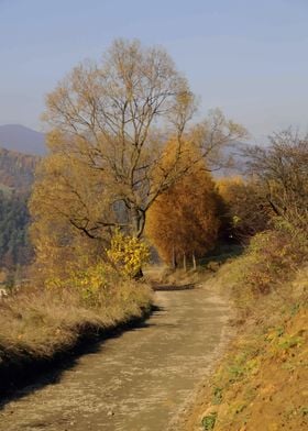 Autumn landscape with road