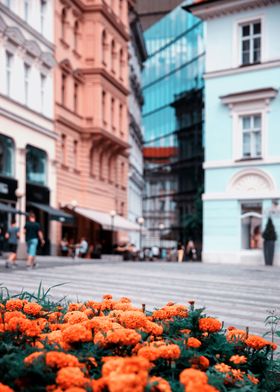 Travel, Prague, Europe