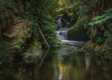 Willaby falls