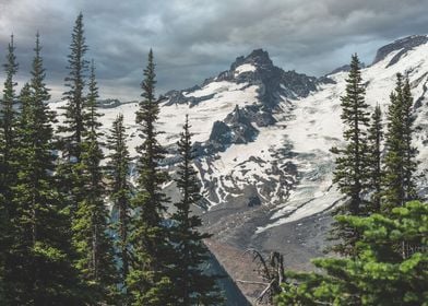 Peaks and glaciers Rainier