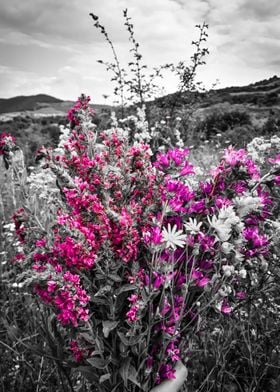 Purple wildflowers bouquet