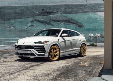 White lamborghini urus