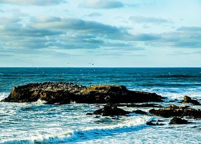 Pescadero Shoreline Rocks