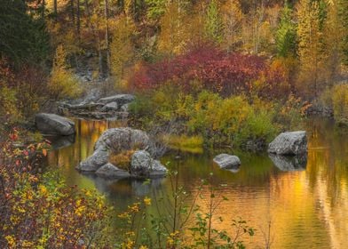 Autumn colors on river