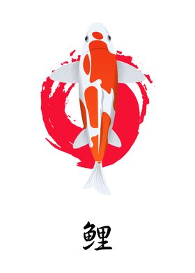 Red and White Koi Fish