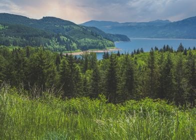 Riffe lake sunrise