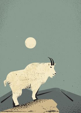 Mountain Goat