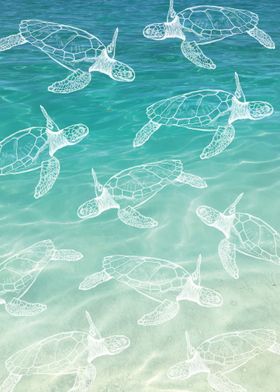 Turquoise Turtles