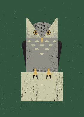 Owl