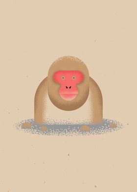 Snow Monkey