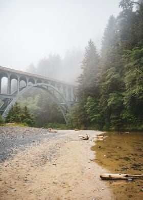 PNW Forest and Bridge Fog