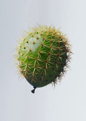 Cactus Baloon