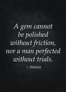 Perfection Stoic Quote