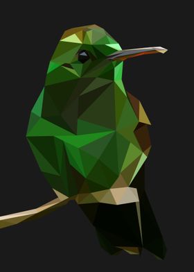 Small green bird