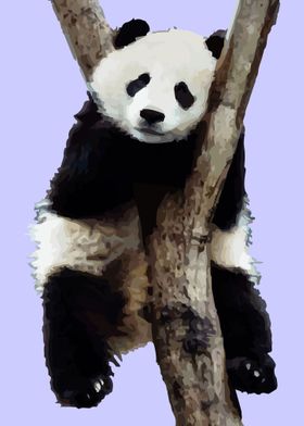 panda low poly style