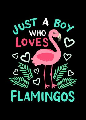 Flamingos Flamingo Lover