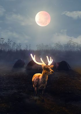 Deer in the Moonlight