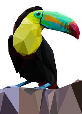 Toucan birds low poly