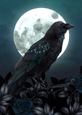 Raven and Full Moon