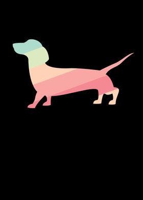 Colourful Sausage Dog