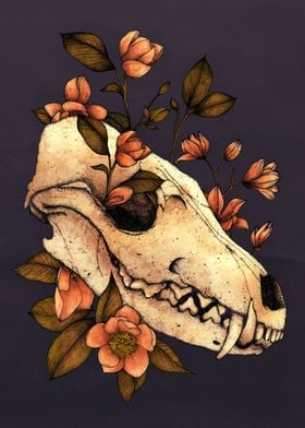 Fox Skull and Magnolias