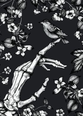 Skeleton and Sparrow