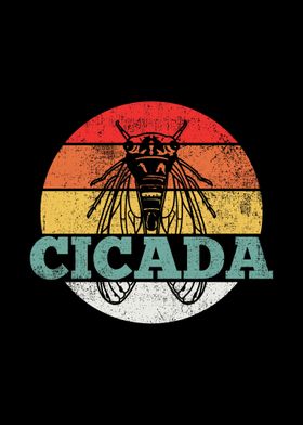 Cicada Vintage