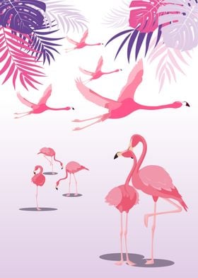 The Pink Flamingo 