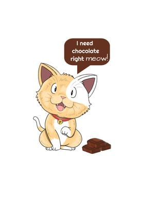 Chocolate Right Meow Cat